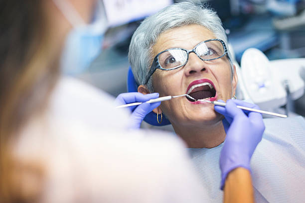  Pocasset, MA Holistic Dental Care Services Pros